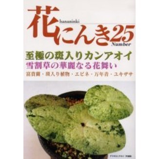 花にんき　ナンバー２５