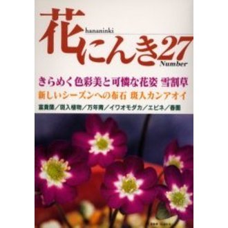 花にんき　ナンバー２７