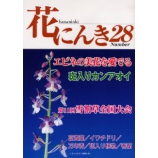 花にんき　ナンバー２８