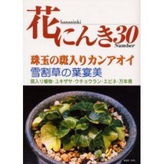 花にんき　ナンバー３０