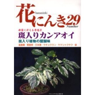 花にんき　ナンバー２９