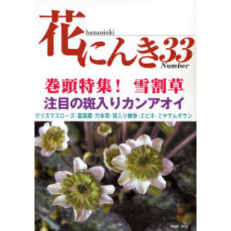 花にんき　ナンバー３３