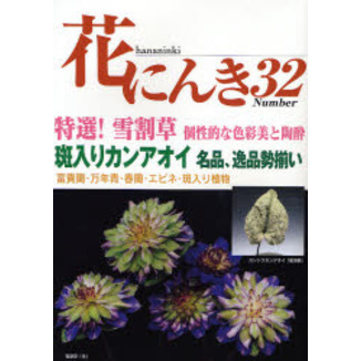 花にんき　ナンバー３２