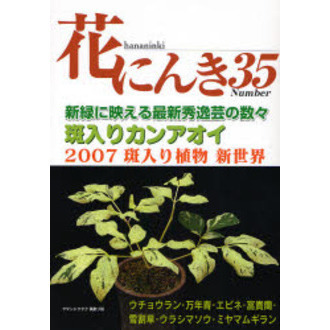 花にんき　ナンバー３５