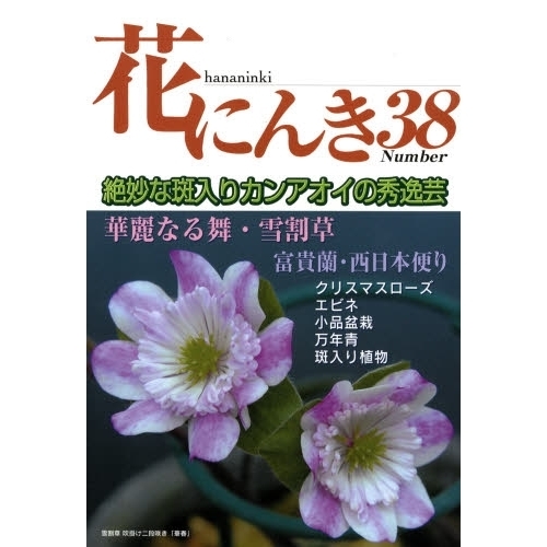 花にんき　ナンバー３８