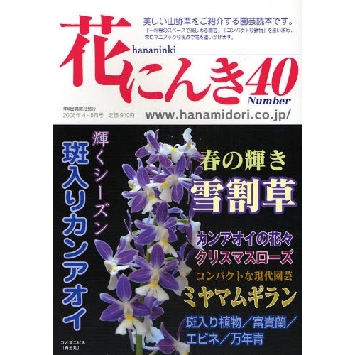 花にんき　ナンバー４０