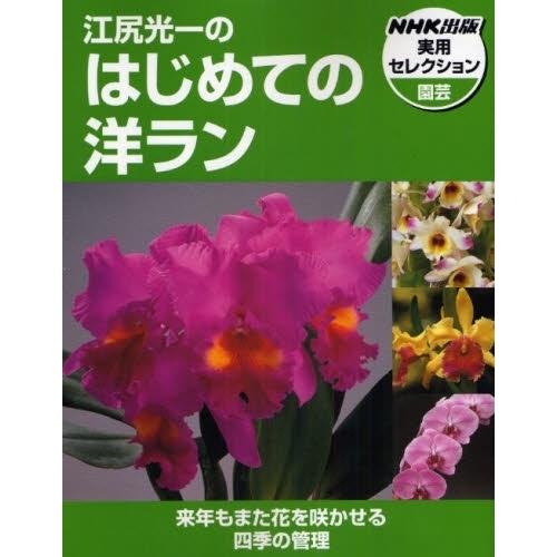 江尻光一のはじめての洋ラン