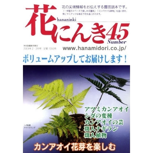 花にんき　ナンバー４５