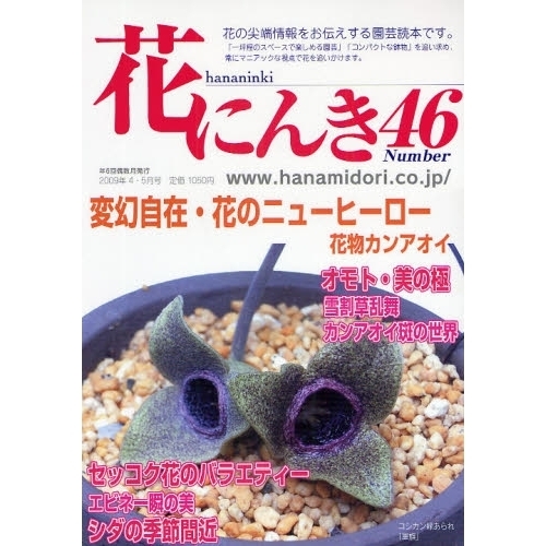 花にんき　ナンバー４６