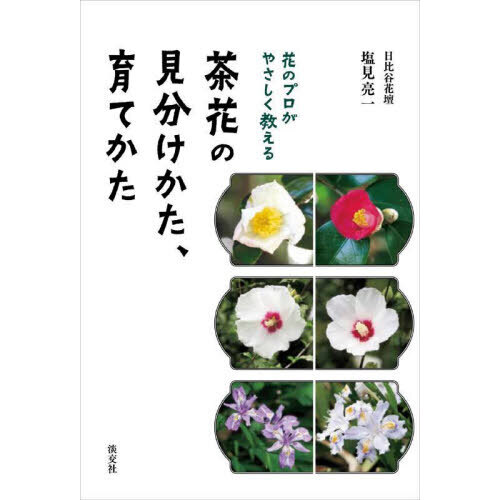 茶花の見分けかた、育てかた　花のプロがやさしく教える