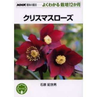 クリスマスローズ