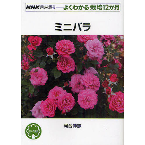 ミニバラ