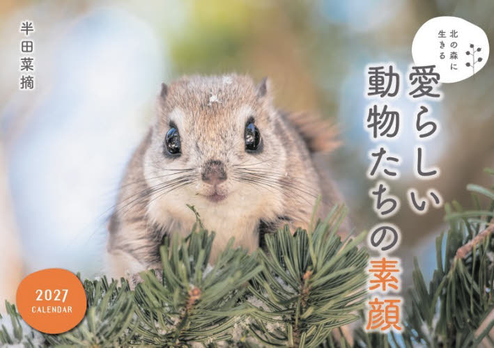 ’２７　愛らしい動物たちの素顔カレンダー