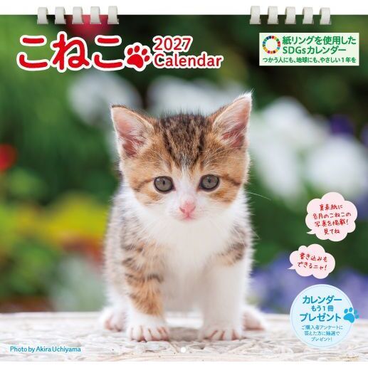 ’２７　こねこカレンダー