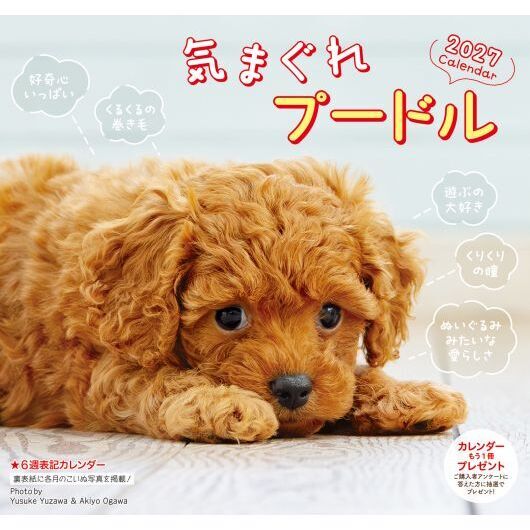 ’２７　気まぐれプードルカレンダー