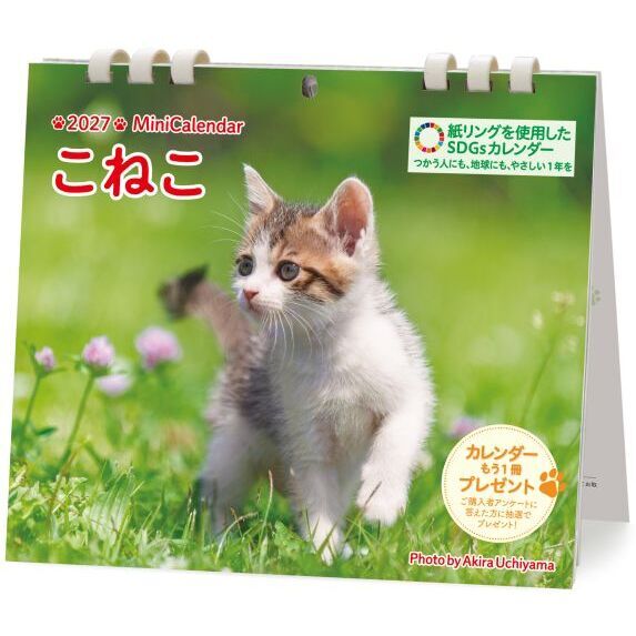 ’２７　ミニカレンダーこねこ
