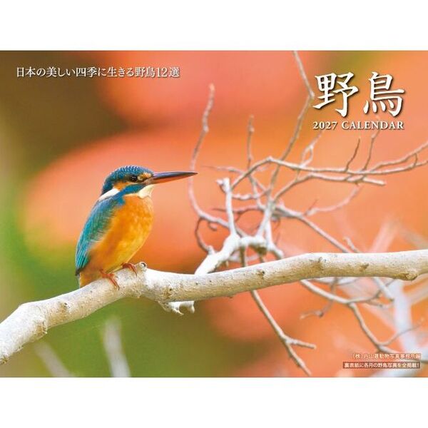 ’２７　野鳥カレンダー