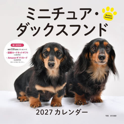 ’２７　カレンダーミニチュア・ダックスフ
