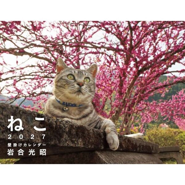 2027 岩合光昭 ねこ 壁掛けカレンダー