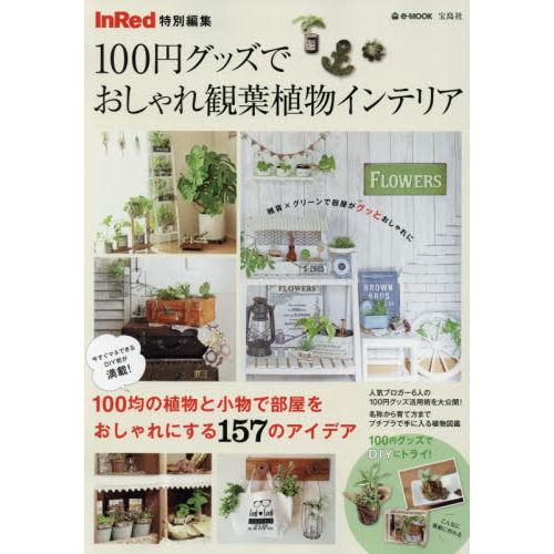 １００円グッズでおしゃれ観葉植物インテリア