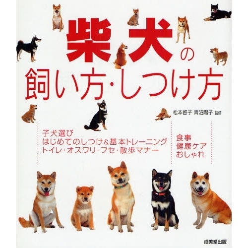 柴犬の飼い方・しつけ方