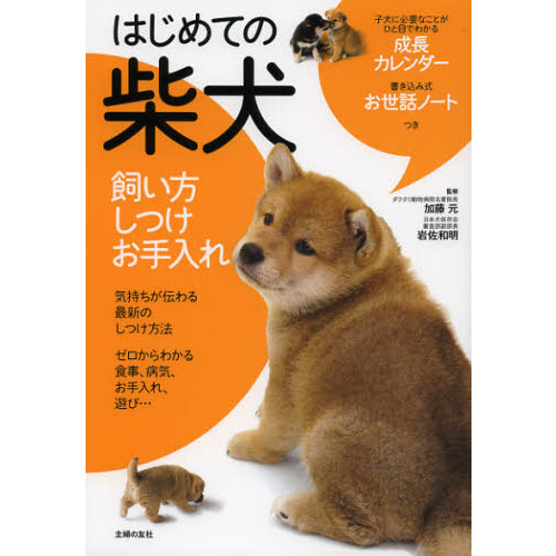 はじめての柴犬　飼い方　しつけ　お手入れ