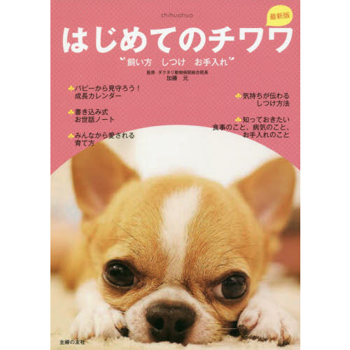 はじめてのチワワ　飼い方　しつけ　お手入れ