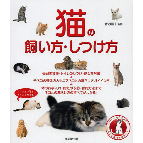 猫の飼い方・しつけ方