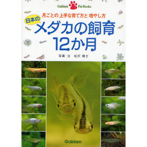 日本のメダカの飼育１２か月　月ごとの上手な育て方と増やし方