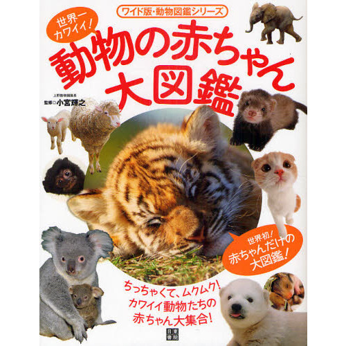 世界一カワイイ！動物の赤ちゃん大図鑑