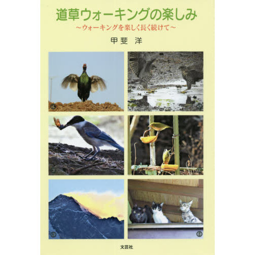 道草ウォーキングの楽しみ　ウォーキングを楽しく長く続けて