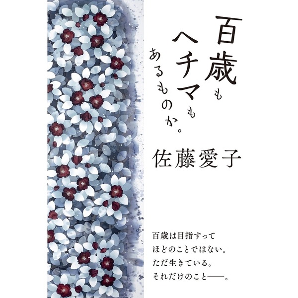 百歳もヘチマもあるものか。（セブン－イレブン／セブンネット限定）