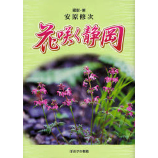 花咲く静岡