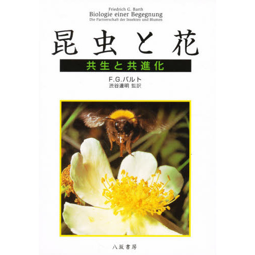昆虫と花　共生と共進化