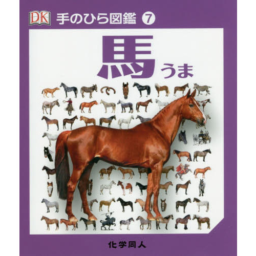 馬