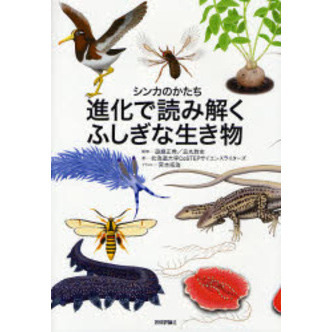 進化で読み解くふしぎな生き物　シンカのかたち
