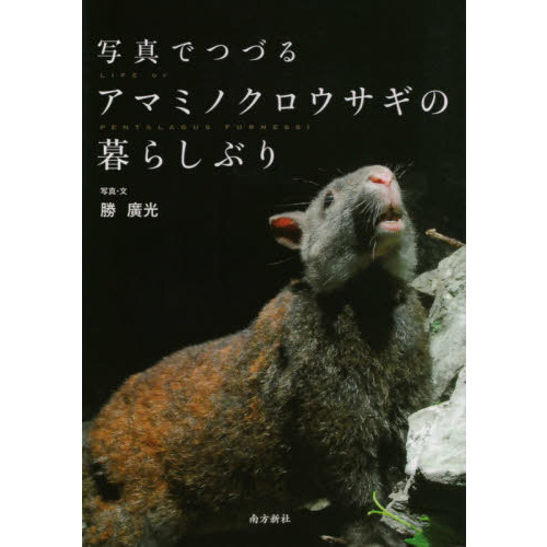 写真でつづるアマミノクロウサギの暮らしぶり