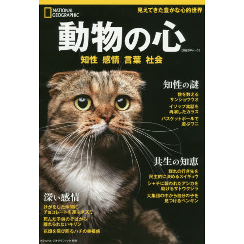 動物の心　知性感情言葉社会