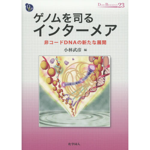 ゲノムを司るインターメア　非コードＤＮＡの新たな展開