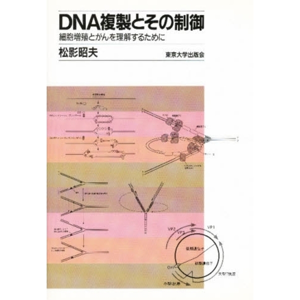 ＤＮＡ複製とその制御　細胞増殖とがんを理解するために