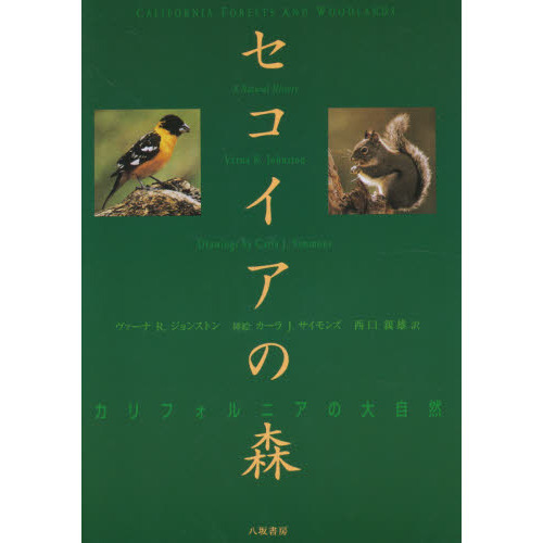 セコイアの森　カリフォルニアの大自然