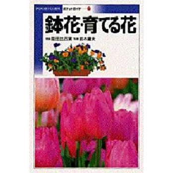 鉢花・育てる花