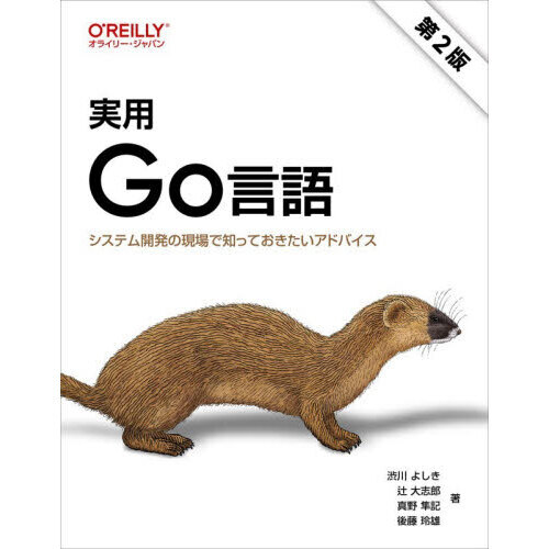 実用Ｇｏ言語　システム開発の現場で知っておきたいアドバイス
