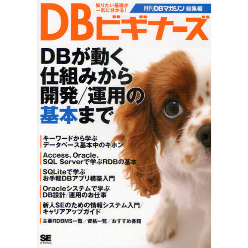 ＤＢビギナーズ　ＤＢが動く仕組みから開発／運用の基本まで　月刊ＤＢマガジン総集編