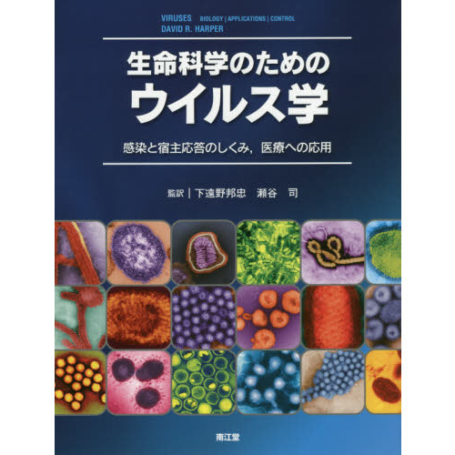 生命科学のためのウイルス学　感染と宿主応答のしくみ，医療への応用