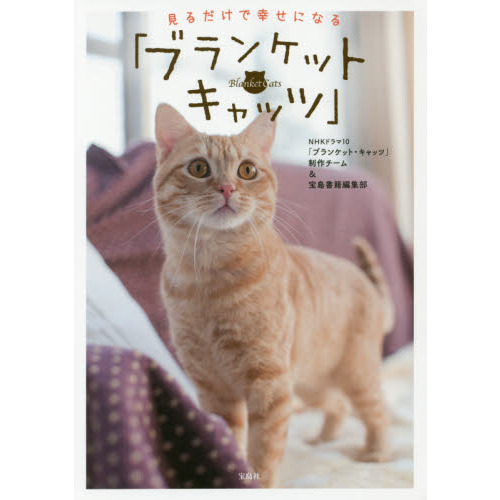 見るだけで幸せになる「ブランケット・キャッツ」