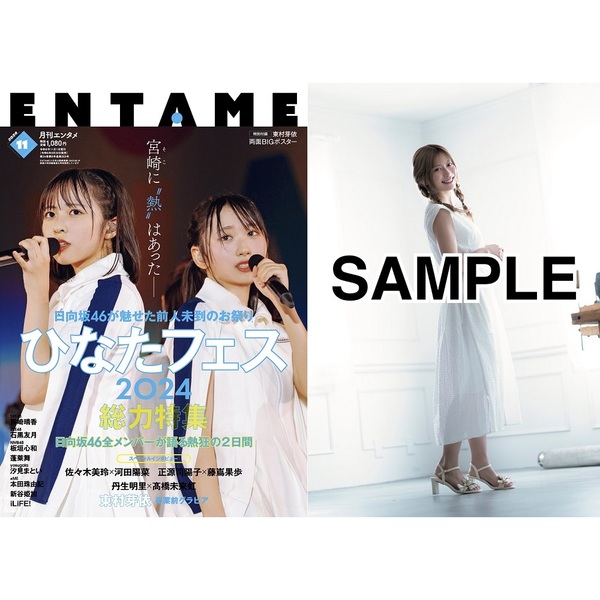 ＥＮＴＡＭＥ（エンタメ）2024年11月号【セブンネット限定特典：東村芽依（日向坂46）ポストカード 1枚付き】