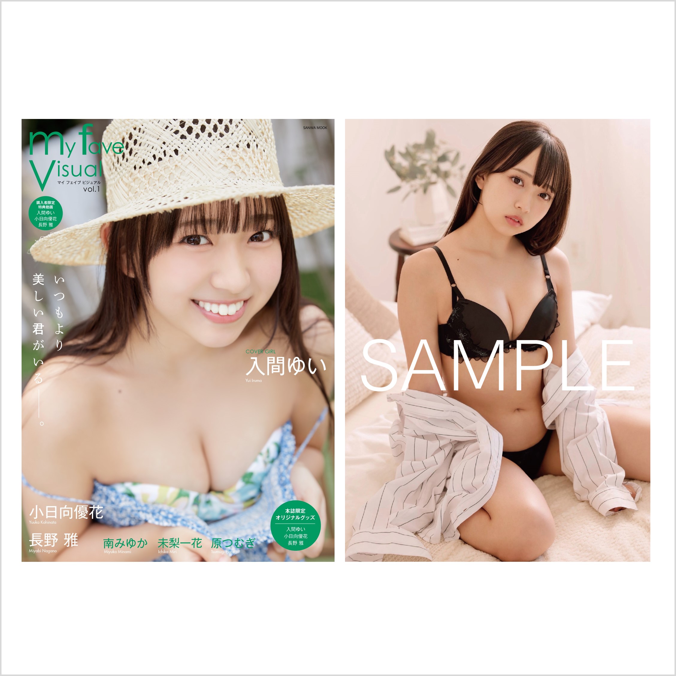 my fave visual vol.1【セブンネット様限定特典：入間ゆいポストカード（B）1枚付き】