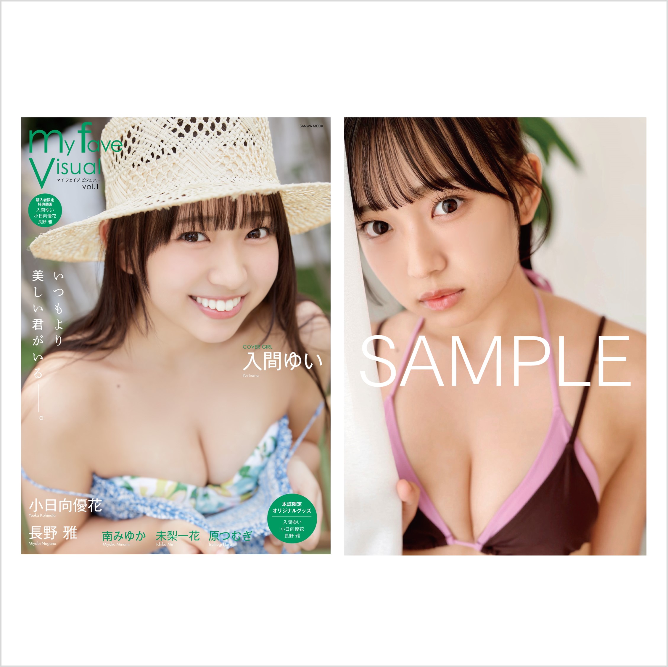 my fave visual vol.1【セブンネット様限定特典：入間ゆいポストカード（C）1枚付き】