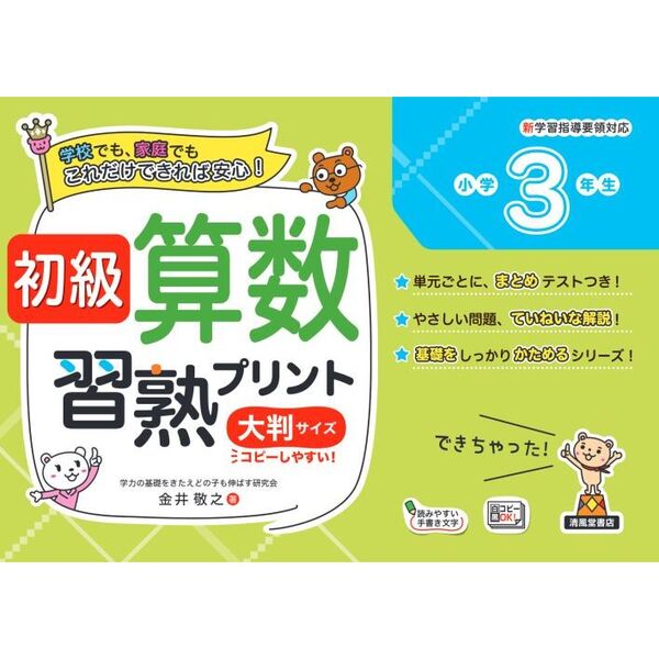 初級算数習熟プリント小学3年生 大判サイズ - 通販｜セブンネット